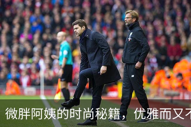微胖阿姨的时尚秘籍，优雅而又不失风趣！